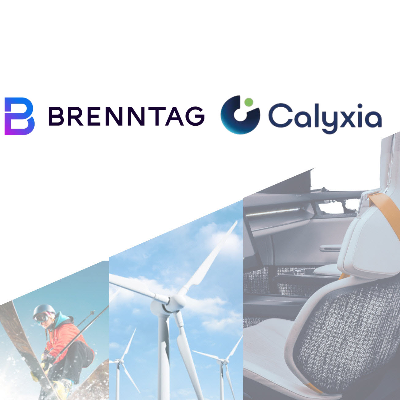 Calyxia Brenntag Global Partnership