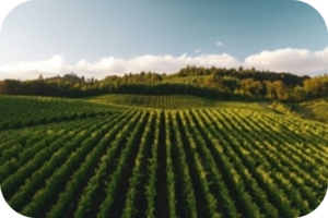 Agriculture biosolutions with NaturaCaps