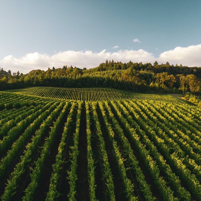 Agriculture - Biosolutions - farming