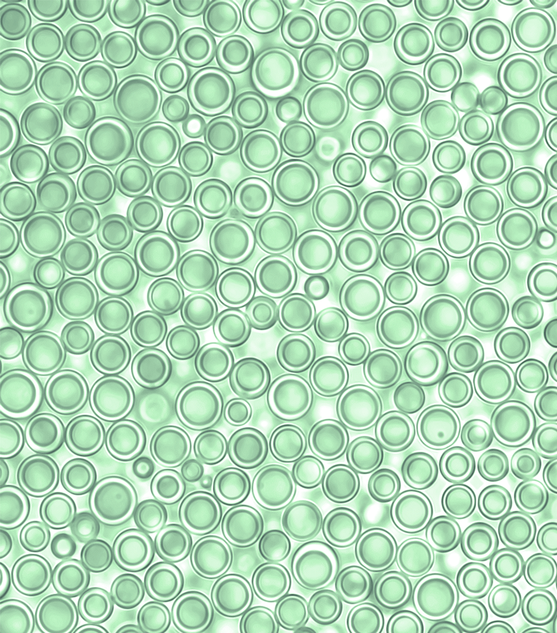 Calyxia capsules NaturaCaps