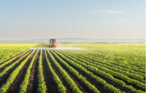 Agriculture - conventional herbicides