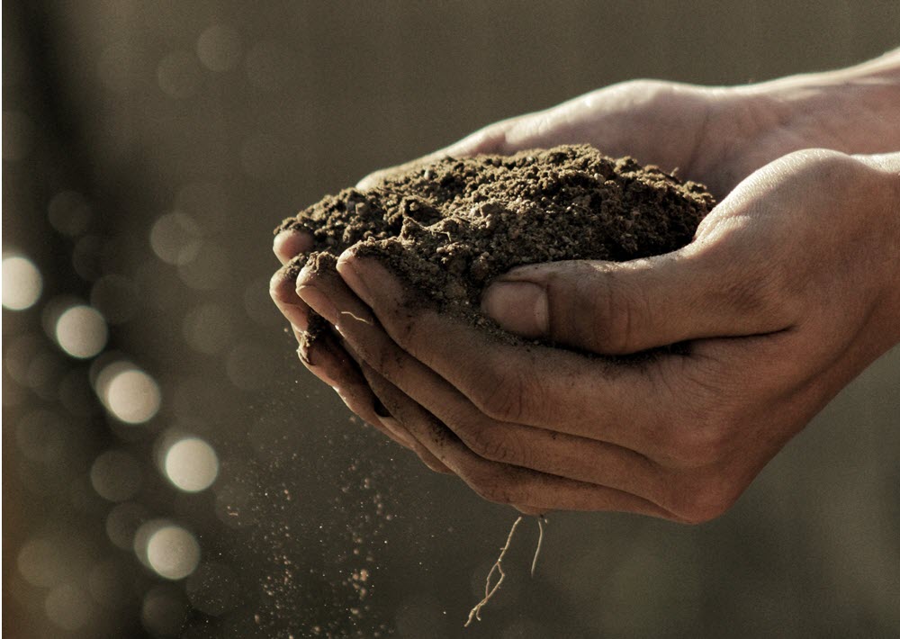 Agriculture - Biodegradable in soil